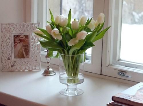 Я полюбила белые тюльпаны...