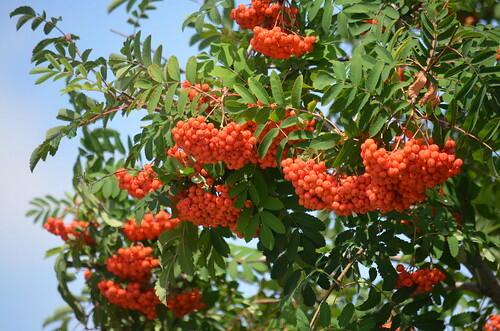 ПРЕЛЮДИЯ ОКТЯБРЯ