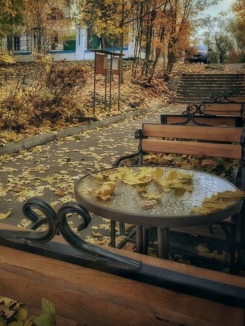 Осень накрыла столик