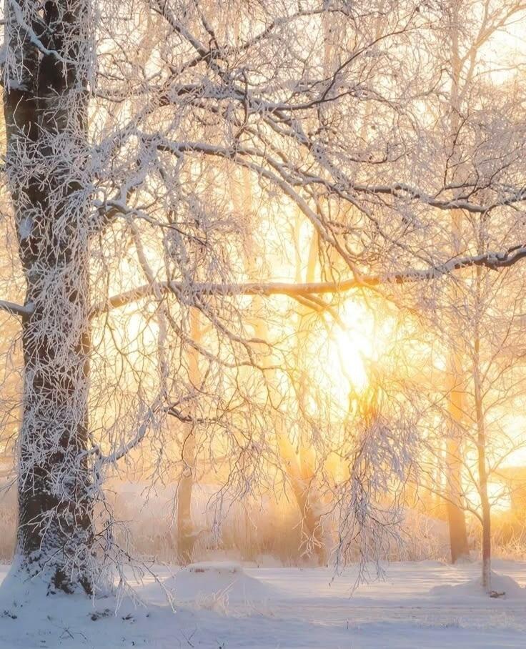 ВОТ И СЛОЖИТСЯ ГОД