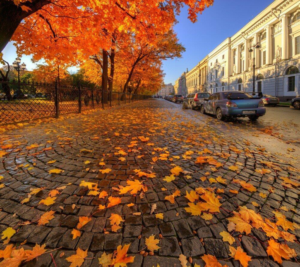 В городе осень