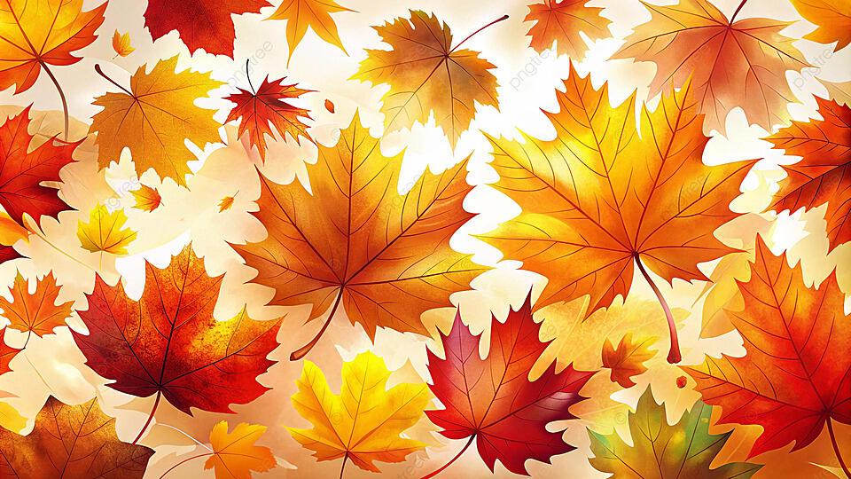 НАША ОСЕНЬ ОПОЗДАЛА