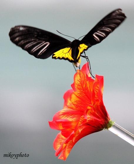 Live in the world by every day