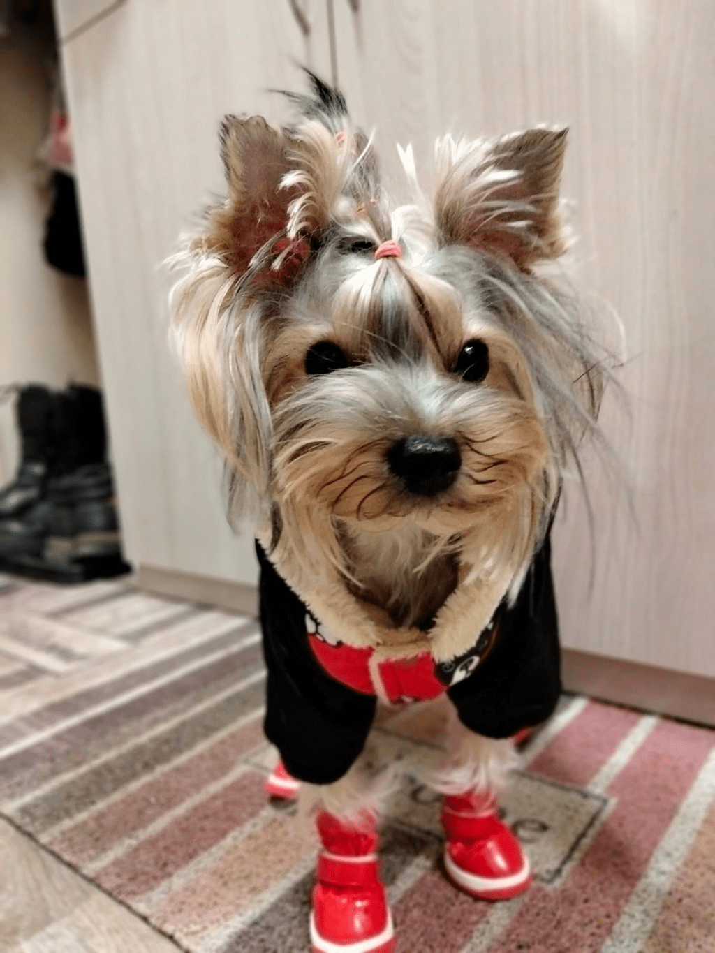 На лабутенах