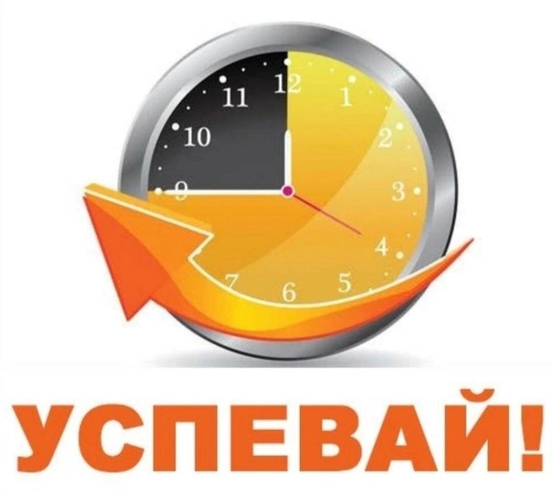 Всё успей