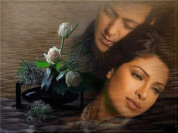 не теряйся любимый