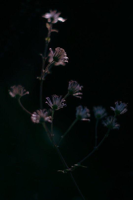 той, кем в прошлом я была...