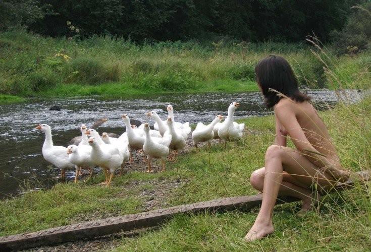 Что б в срок… под яблоки… мочёные…