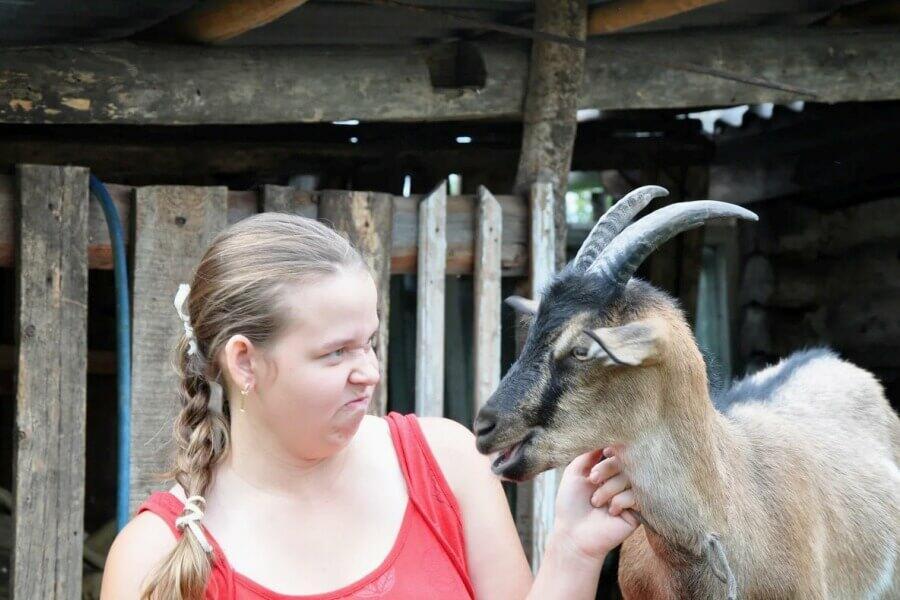 ПРОВОДИЛА  КОЗЛА  ДО  ВОРОТ