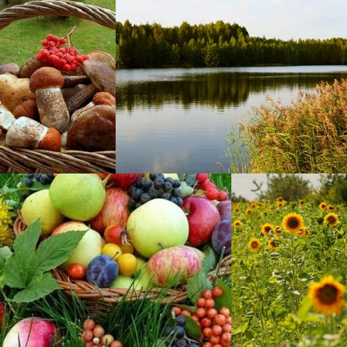 ---А разве нет---