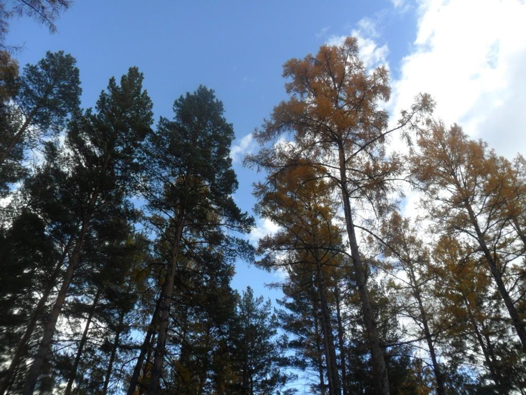 Я учился искусству любить,