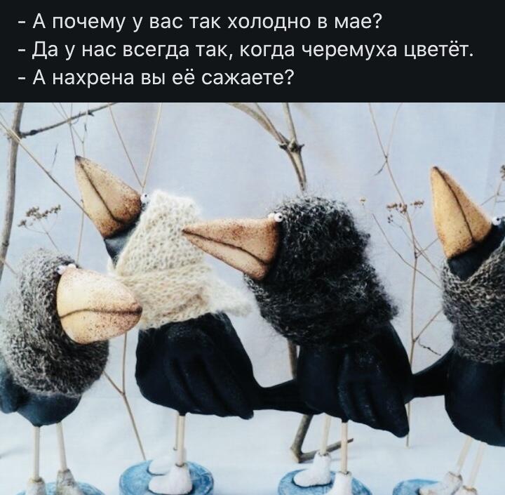 Весна пришла