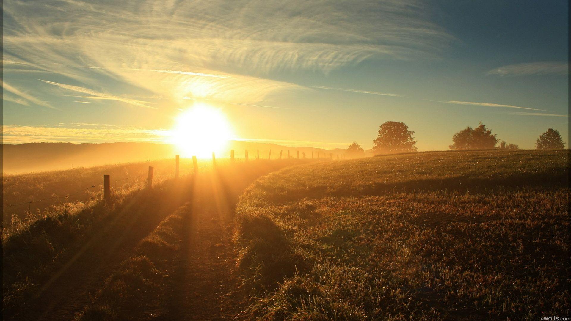 В. Цой. - Спокойная ночь (переделанная)