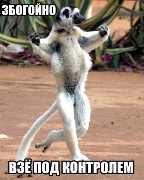 Всё под контролем