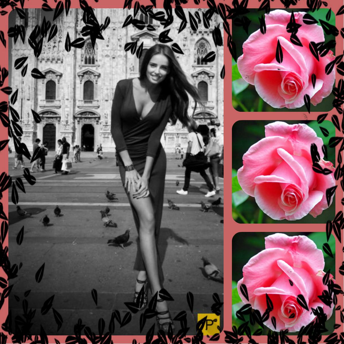 Я у августа всё спросила... (на украинском языке)