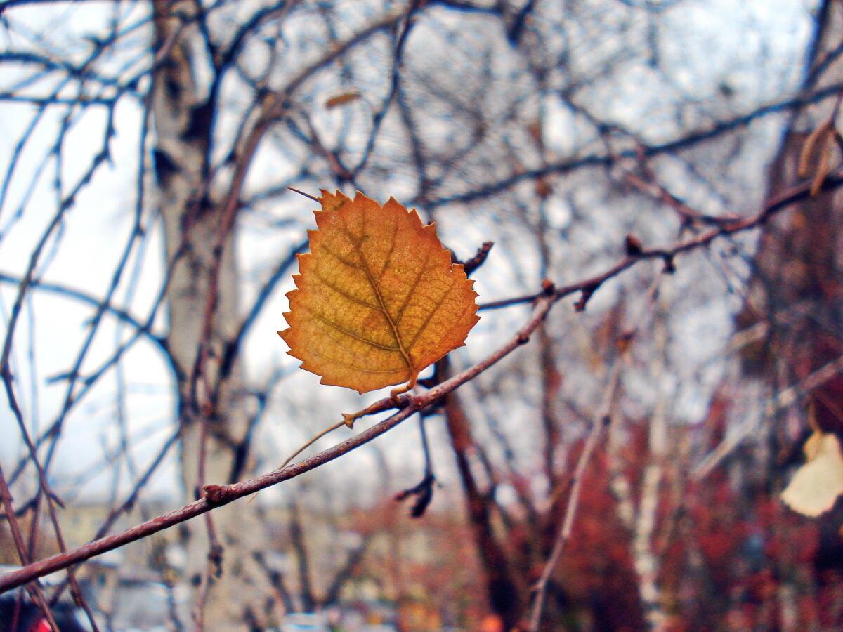 Незримый чёлн