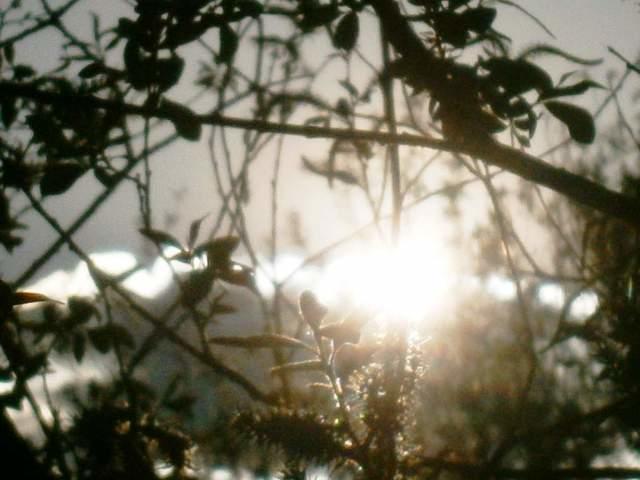 Проблески тепла