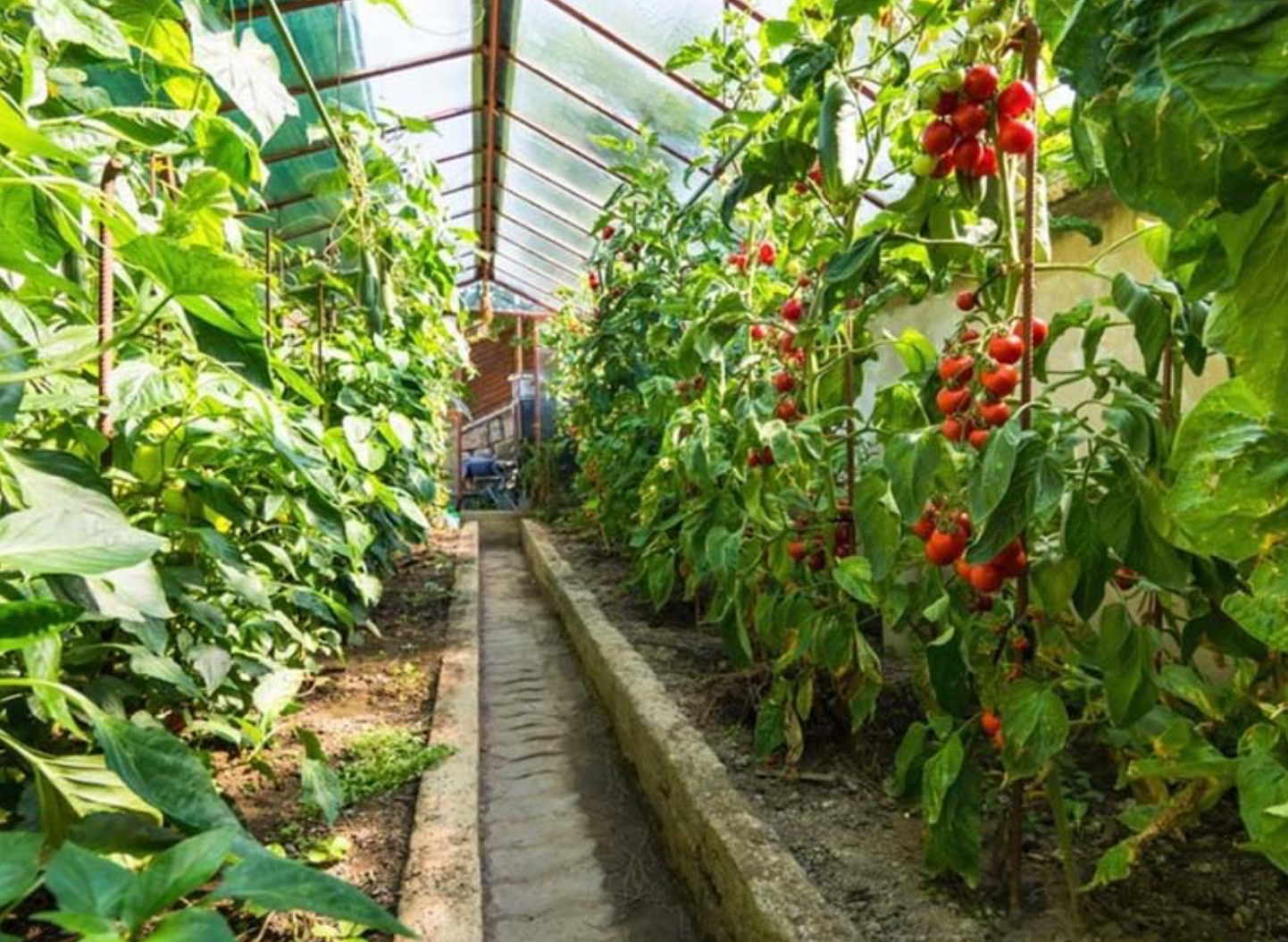 Приснится-же такое