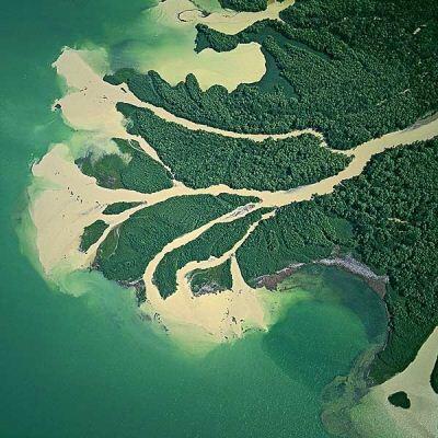 Устье мыслей - исток поступков...