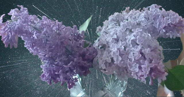 Обаятельный штрих лица