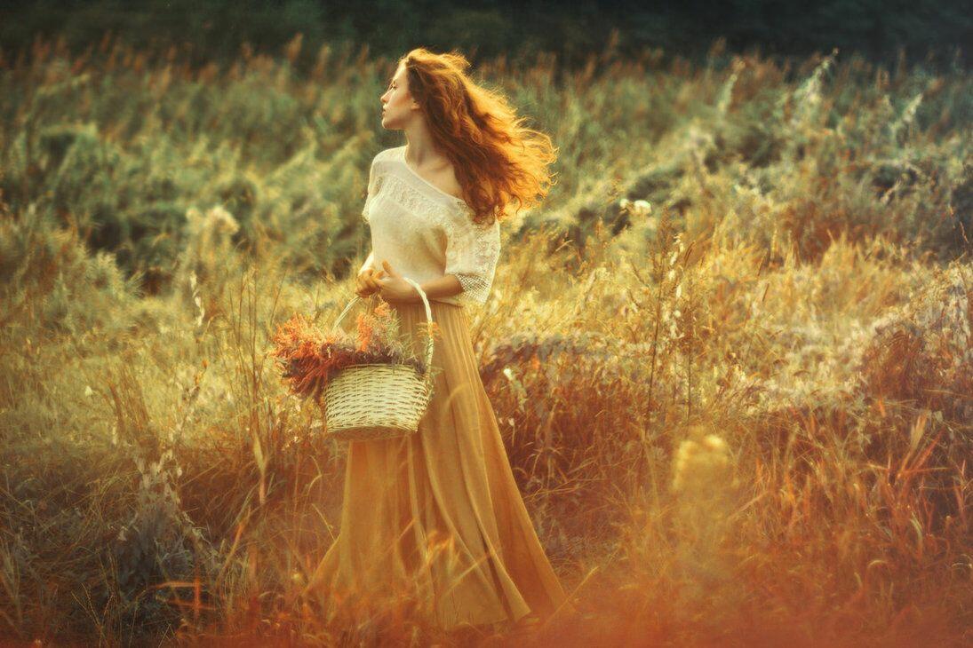 Жизнь складывает дни грибами в банку 