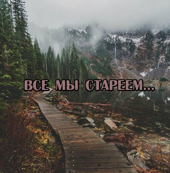 Все мы стареем