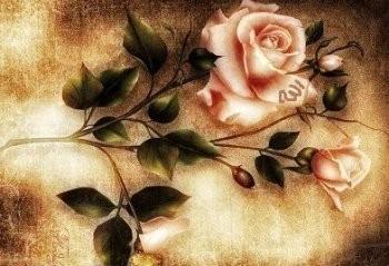 ВОТ  ЕСЛИ  БЫ...