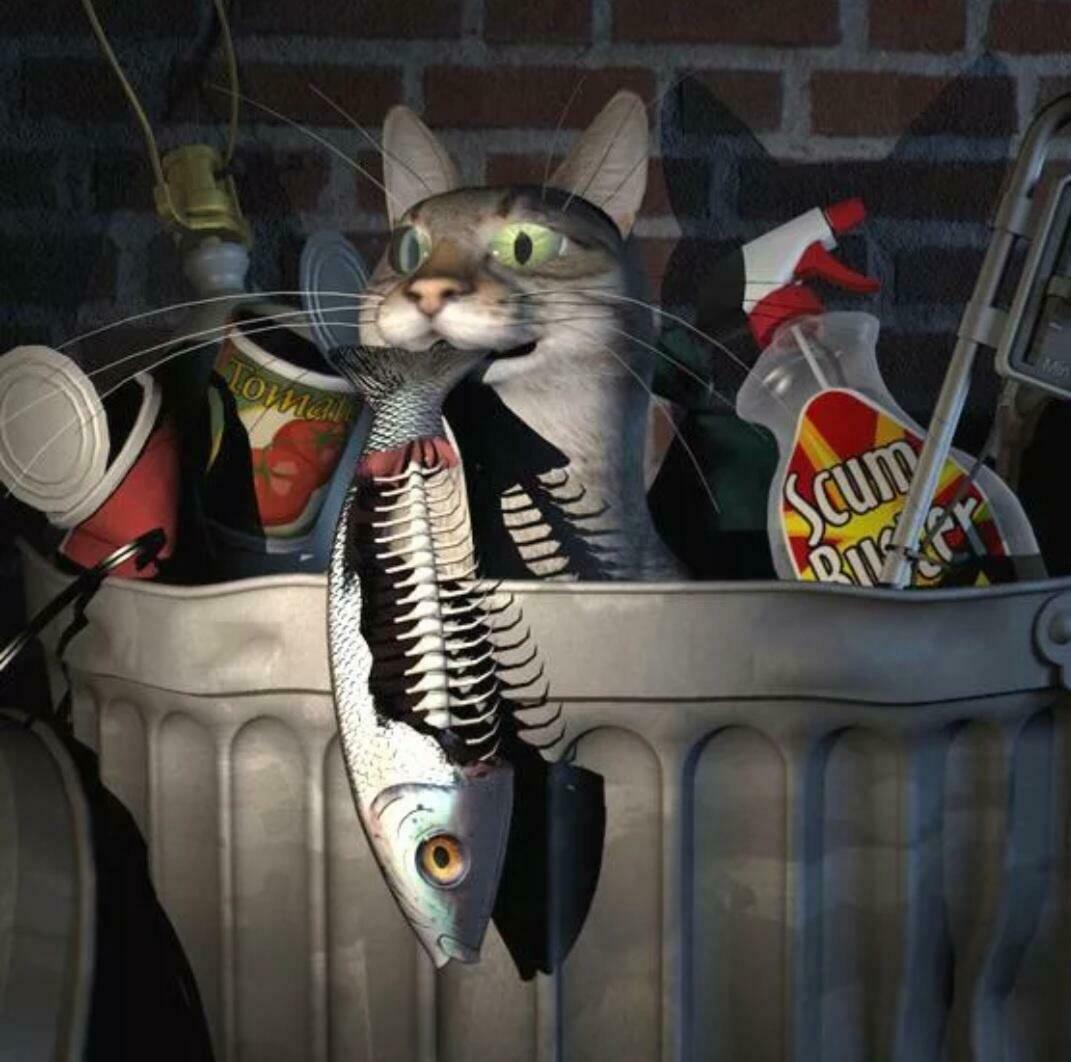 Монолог кота