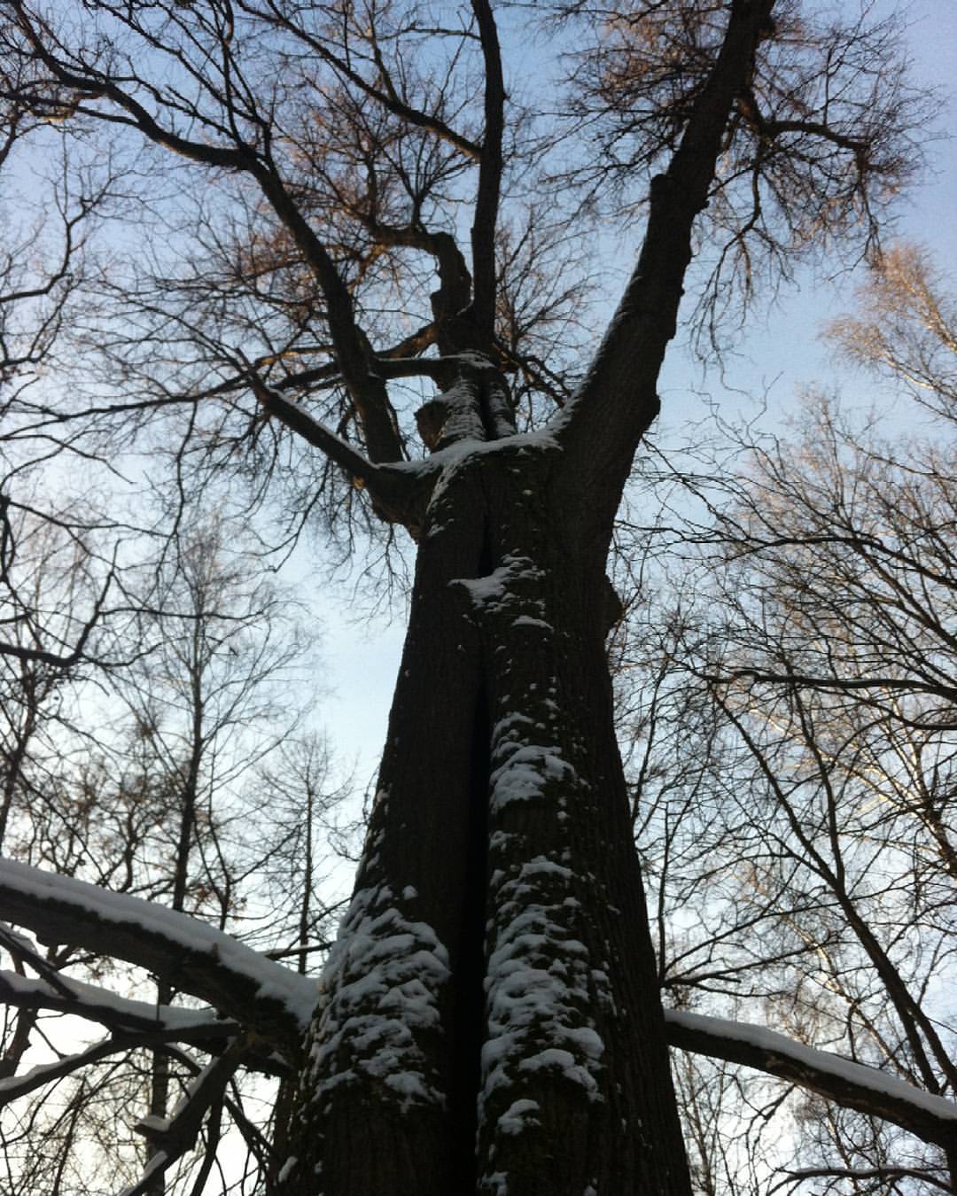 Бегут по стеклам