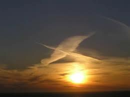 ЛЕБЕДИНАЯ ПЕСНЯ