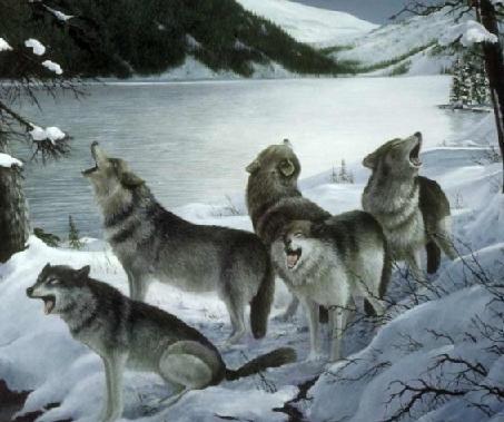 Луна в полнеба.