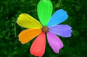 Стук каблучков