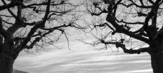 Заснул… счастливый… Сладко… дышит…