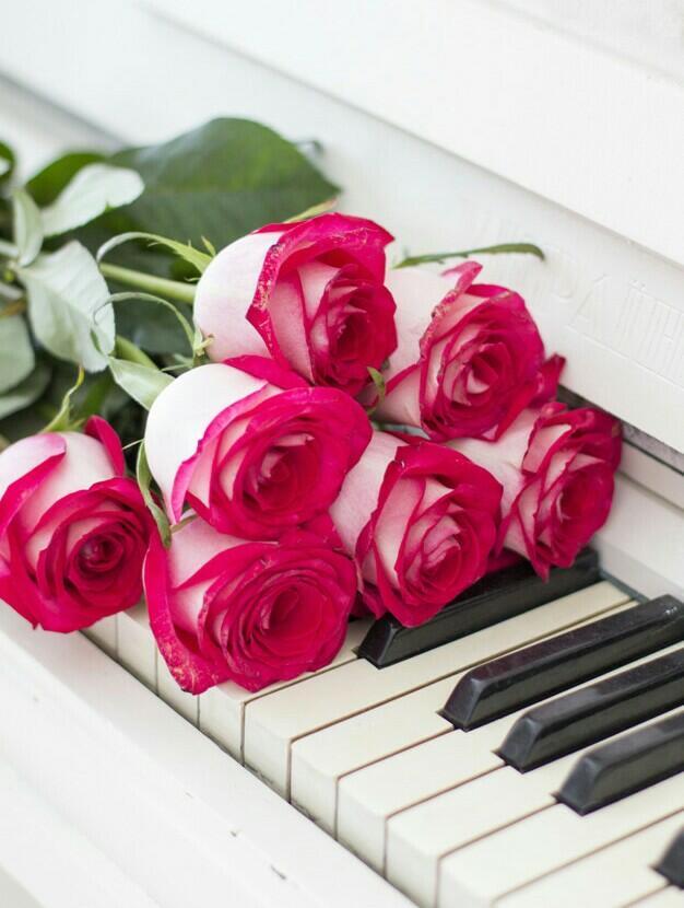 К нам приходят любимые