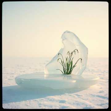 Весне дорогу!