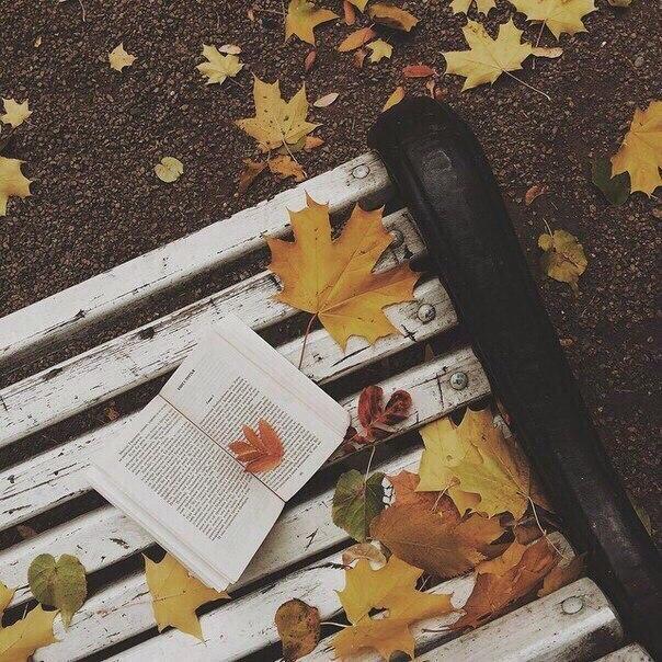 Письмо к Осени