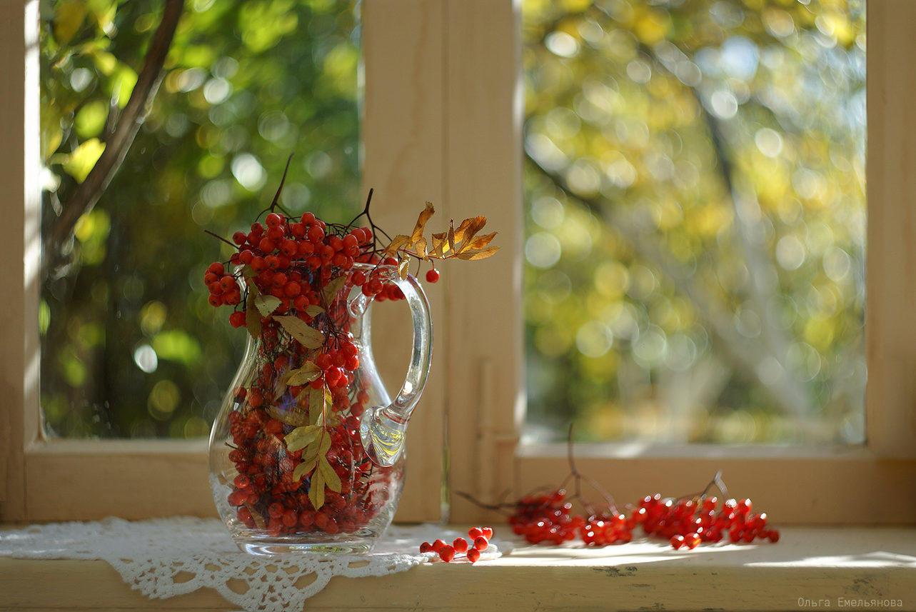 ОСЕНЬ 2018года...