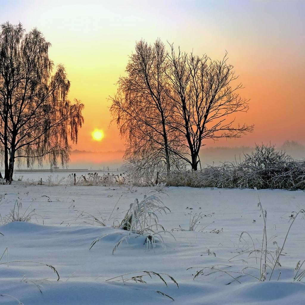 Доброе утро зима природа