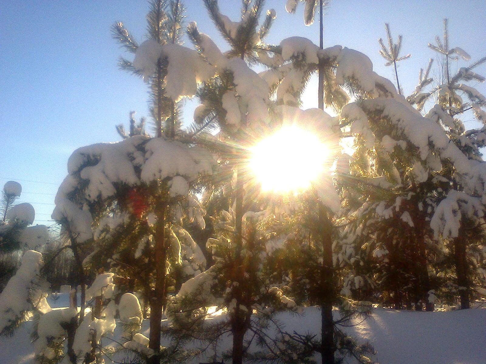 "Февраль" (второй вариант)