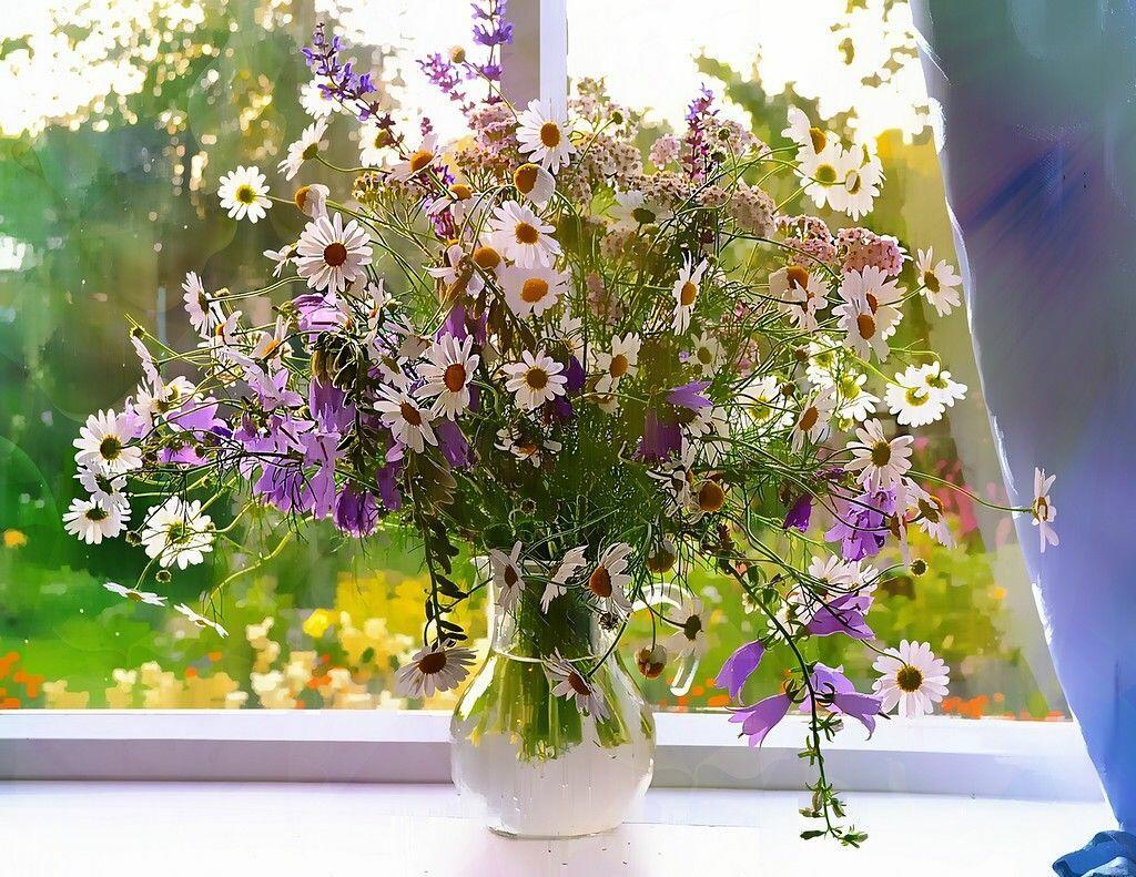 ПОЛЕВЫЕ ЦВЕТЫ 