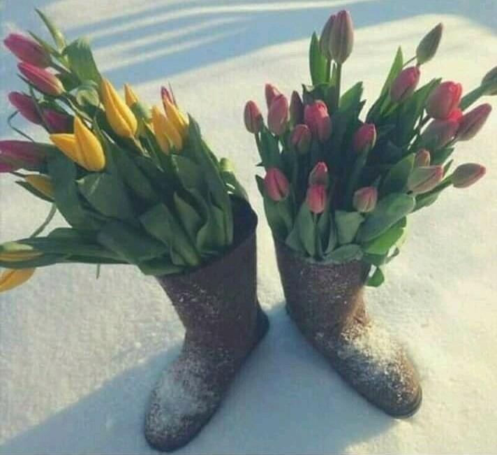 ФЕВРАЛЬСКИЕ МЕЧТЫ