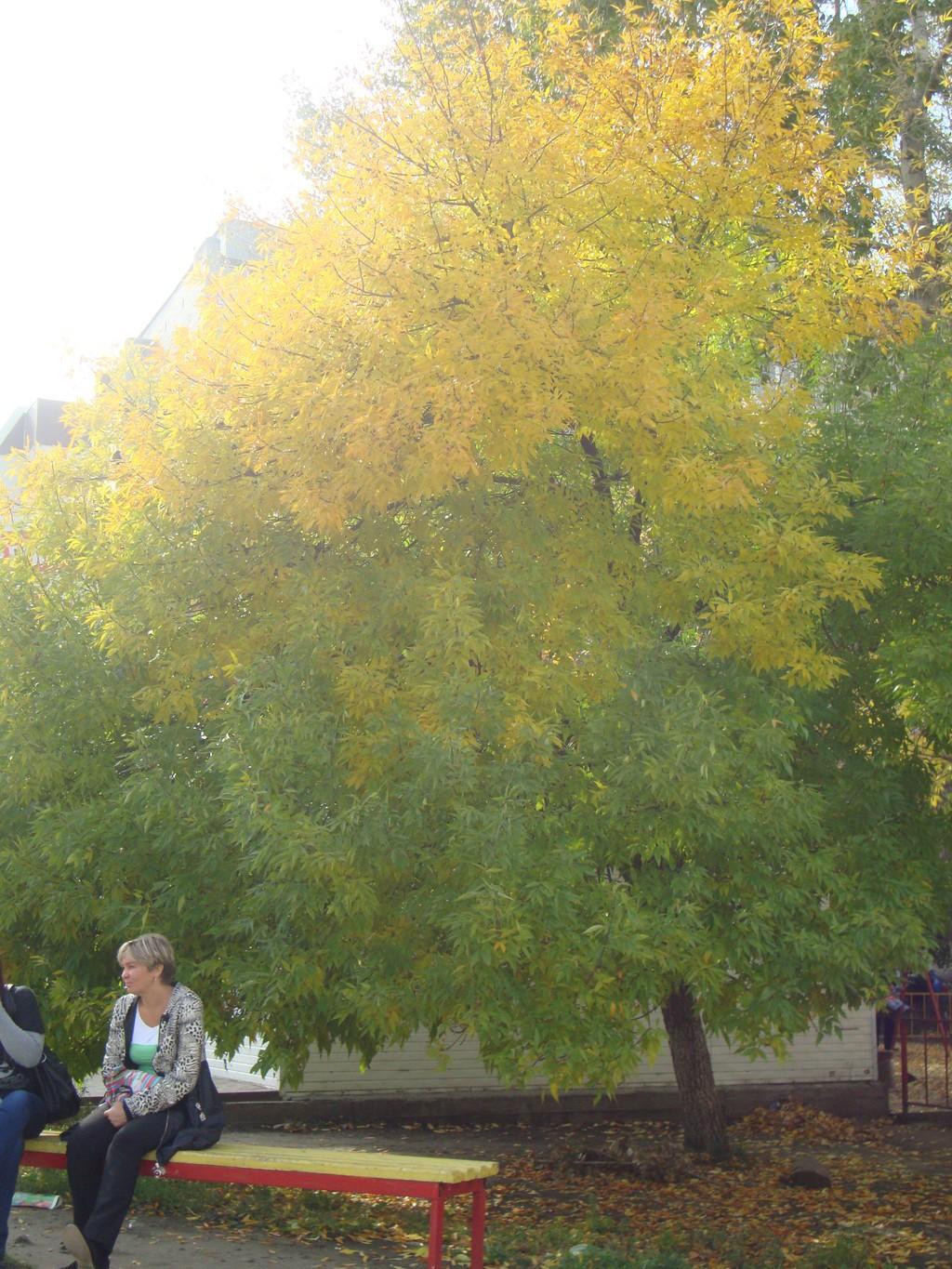 Простые мысли...