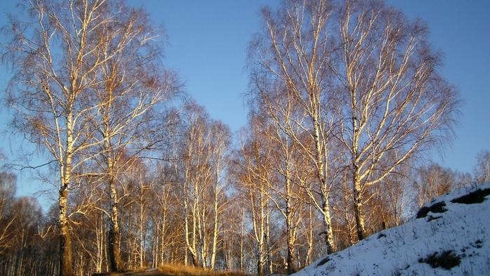 ВСЁ ЧАЩЕ ПОЯВЛЯЕТСЯ ЛАЗУРЬ