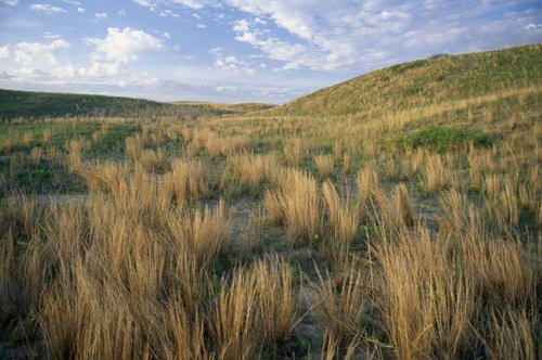 noise in prairie