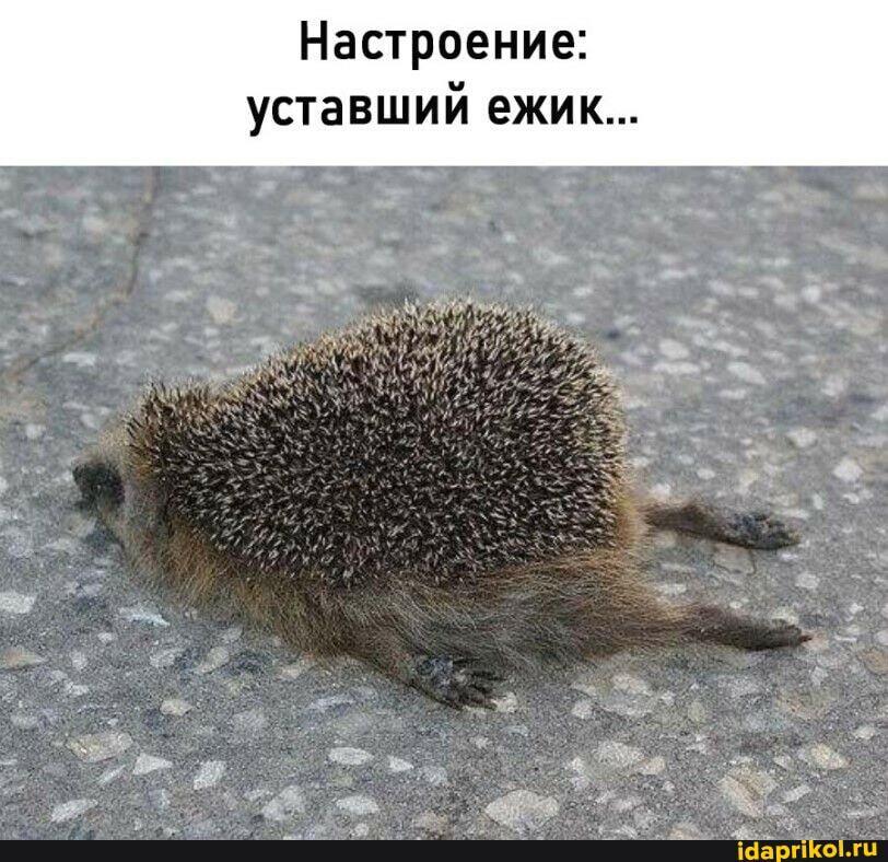 О море! ДвуХстишье