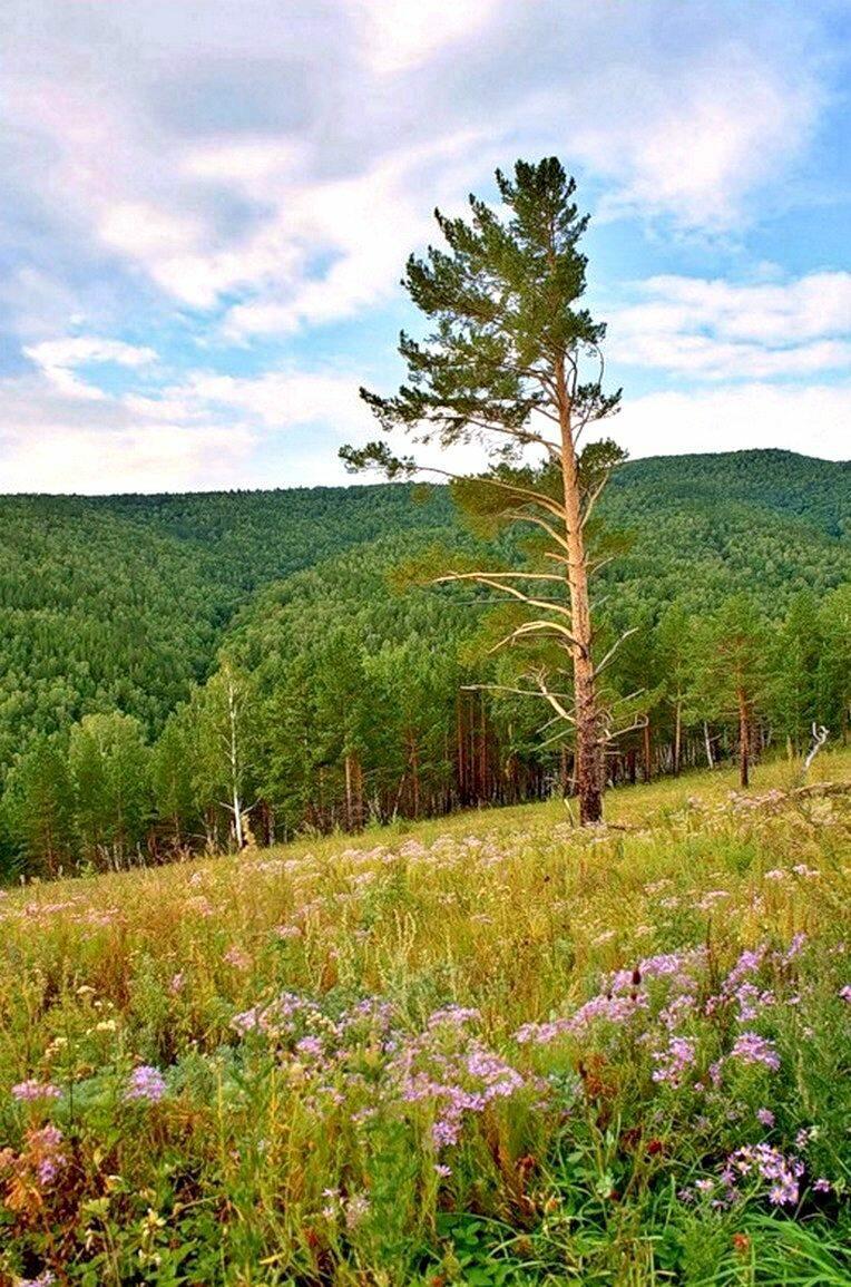 Летние рассветы в Саянах