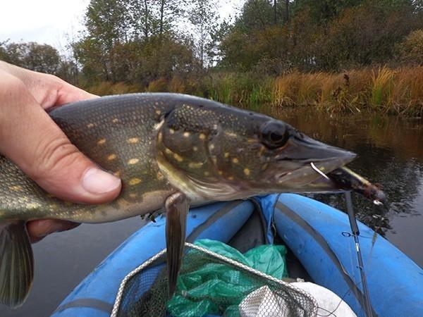 ТРОФЕЙНАЯ ОСЕНЬ