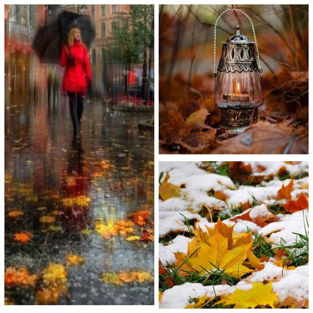 Жизнь похожа. Жизнь похожа на позднюю осень Автор. Капельку тепла в холодную осень. Картинка осень, воздух прозрачный. Капелька тепла.