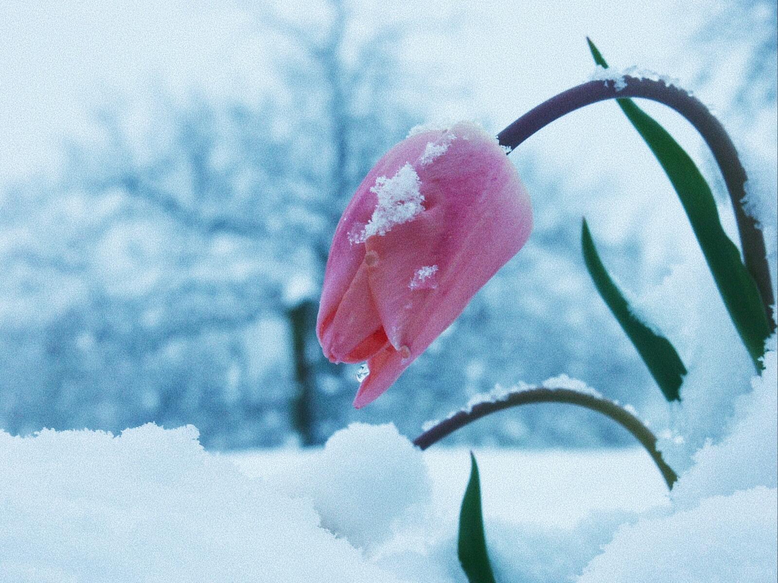 "Умиротворение"