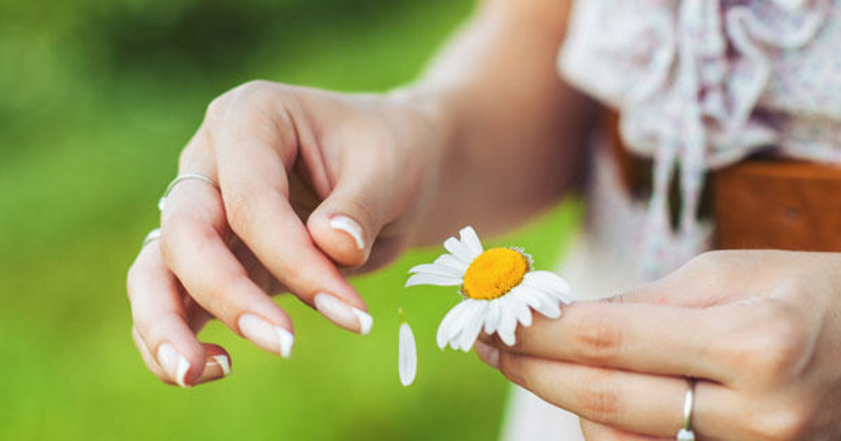 "Ах, ромашка - солнышко!"